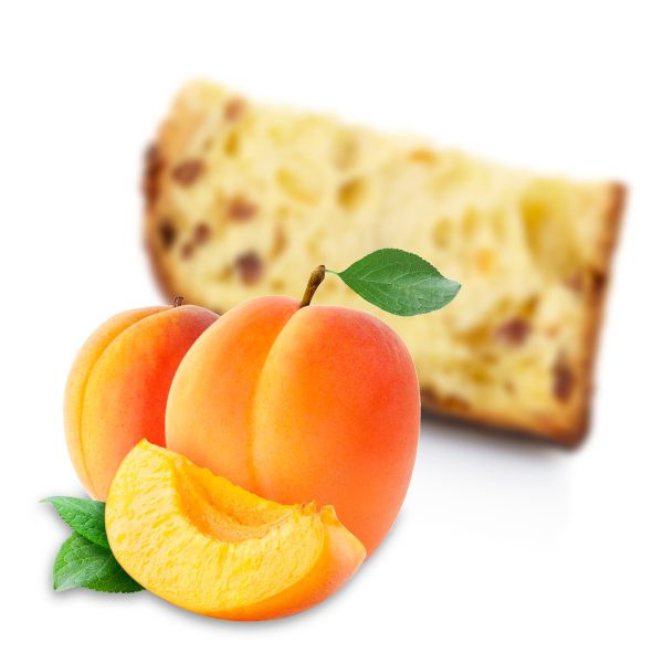 Apricot panettone
